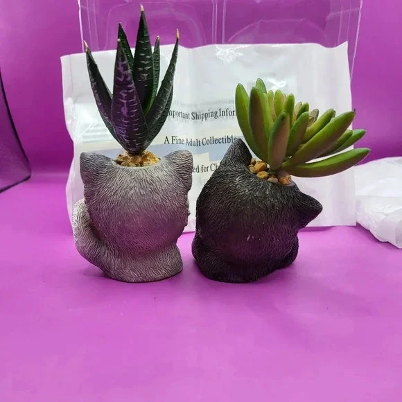 Bradford Exchange Humbugs & Spike Cat Planters Succulents - Picture 4 of 7